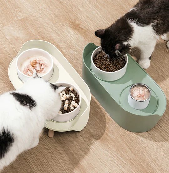 Bone China Double Cat Bowl - Pet Pet Gifts