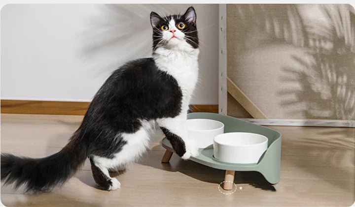 Bone China Double Cat Bowl - Pet Pet Gifts