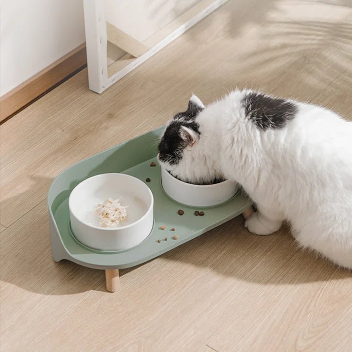 Bone China Double Cat Bowl - Pet Pet Gifts