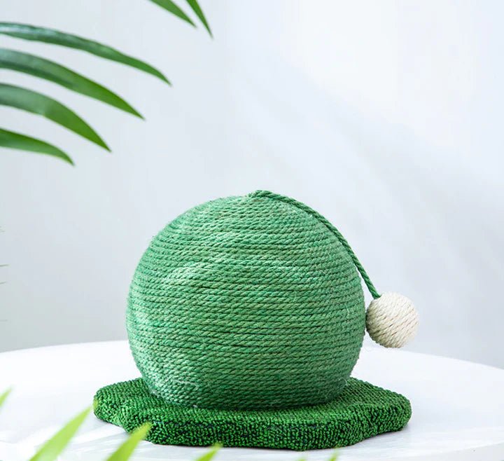 Cactus Cat Scratching Pad - Pet Pet Gifts