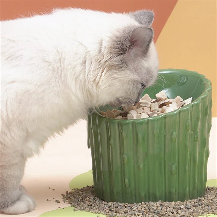 Cactus Shaped Elevated Cat Bowl - Pet Pet Gifts