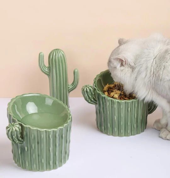 Cactus Shaped Elevated Cat Bowl - Pet Pet Gifts