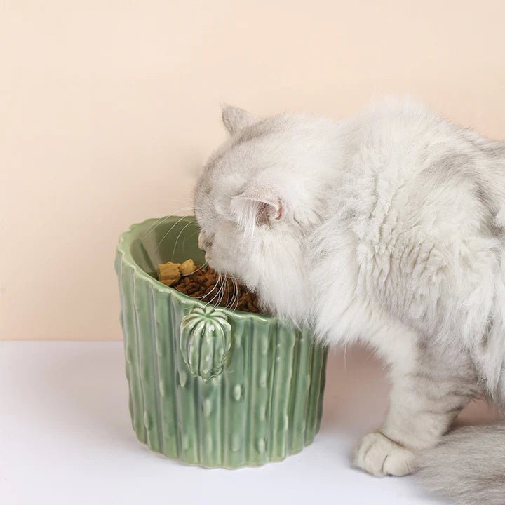 Cactus Shaped Elevated Cat Bowl - Pet Pet Gifts