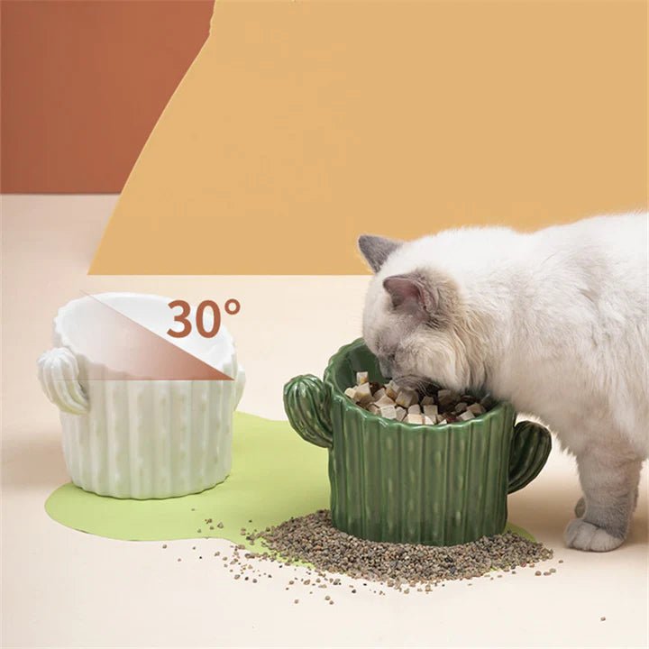 Cactus Shaped Elevated Cat Bowl - Pet Pet Gifts