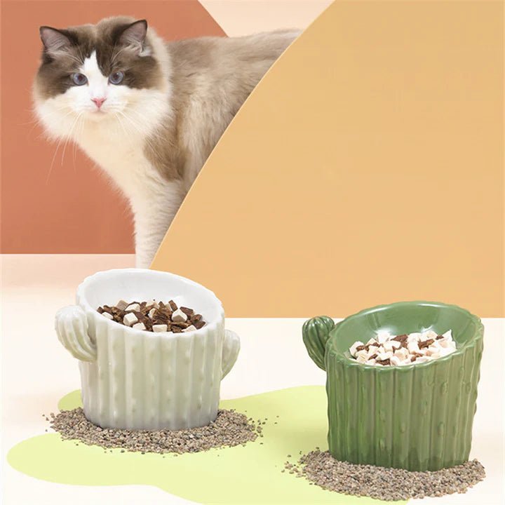 Cactus Shaped Elevated Cat Bowl - Pet Pet Gifts