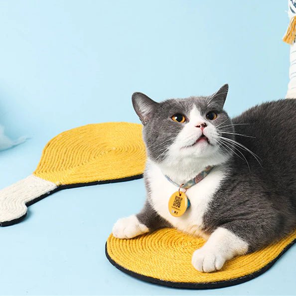 Chicken Drumstick Shaped Cat Scratcher - Pet Pet Gifts