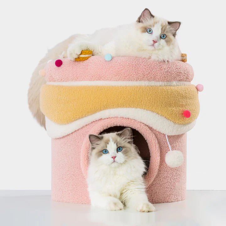 Cupcake Double Deck Cat Bed - Pet Pet Gifts