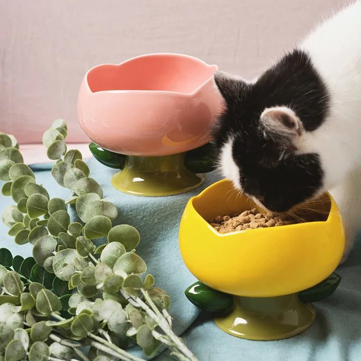 Flower Shape Cat Bowl - Pet Pet Gifts