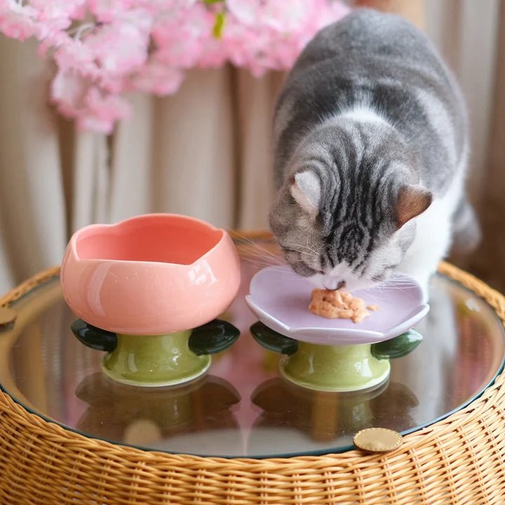 Flower Shape Cat Bowl - Pet Pet Gifts