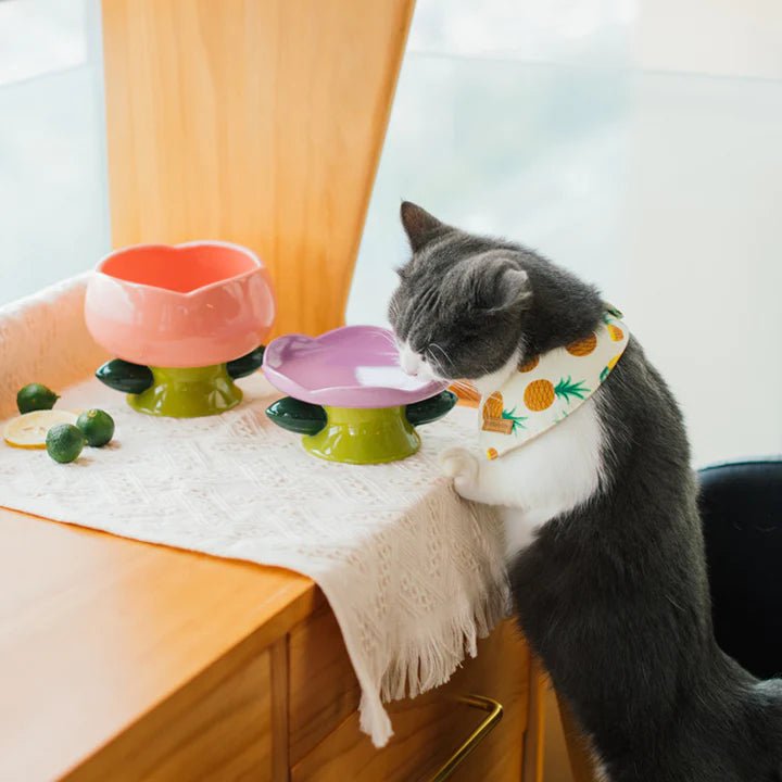 Flower Shape Cat Bowl - Pet Pet Gifts