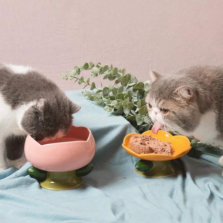 Flower Shape Cat Bowl - Pet Pet Gifts