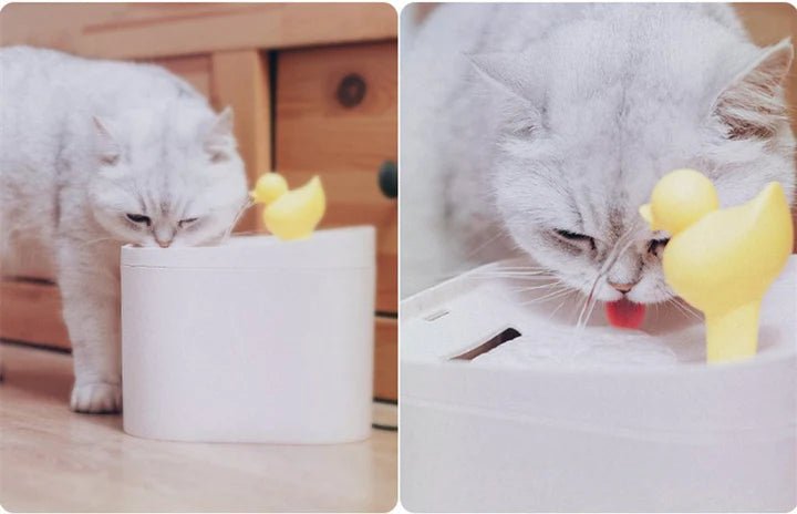 Little Duck Cat Water Fountain - Pet Pet Gifts