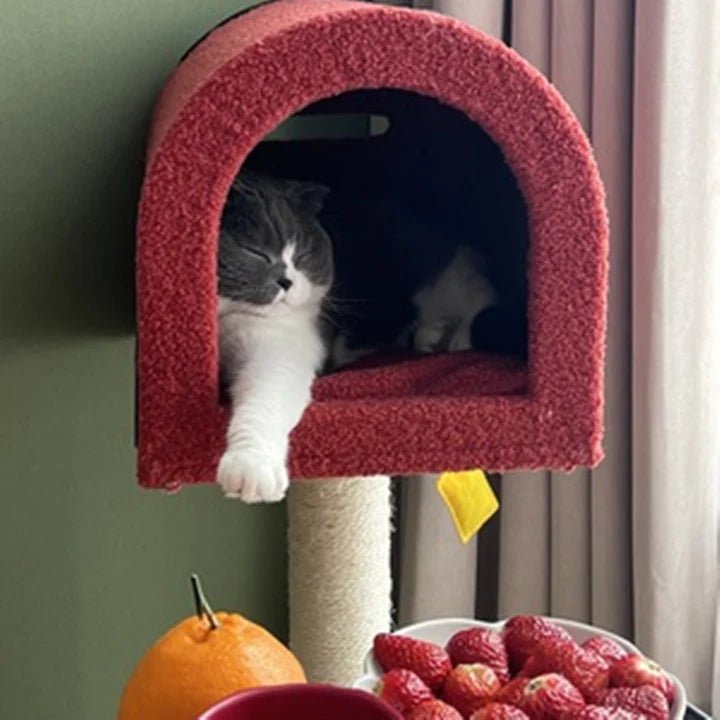 Mailbox Cat Tree - Pet Pet Gifts