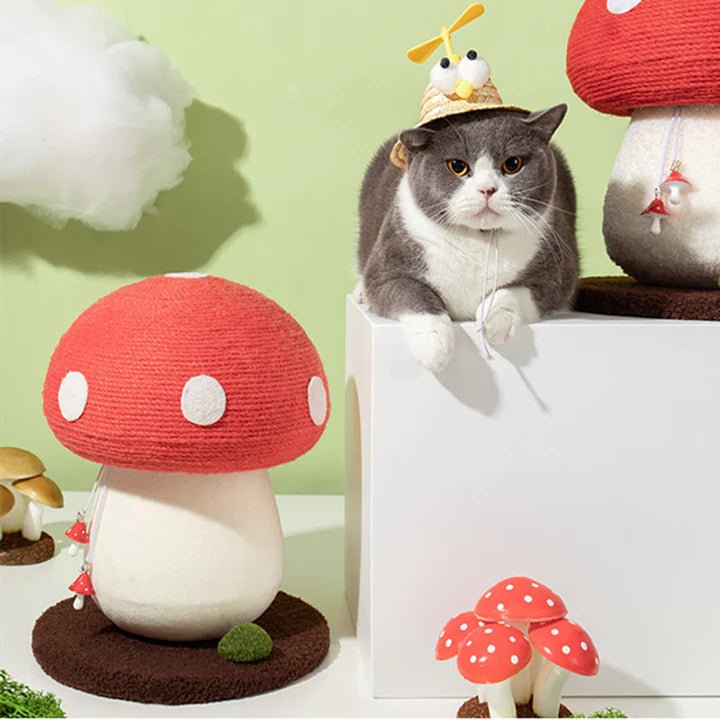 Mushroom Cat Scratcher - Pet Pet Gifts