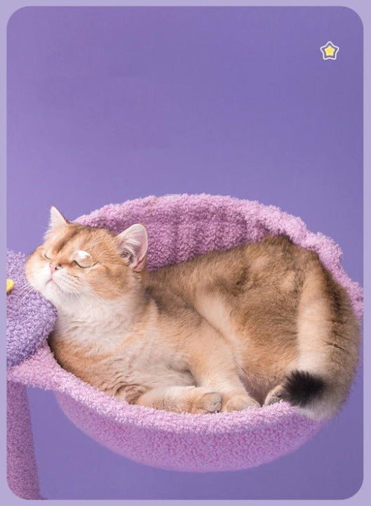 Purple Starry Moonlight Multifunctional Cat Climbing Frame - Cat Tree - Pet Pet Gifts