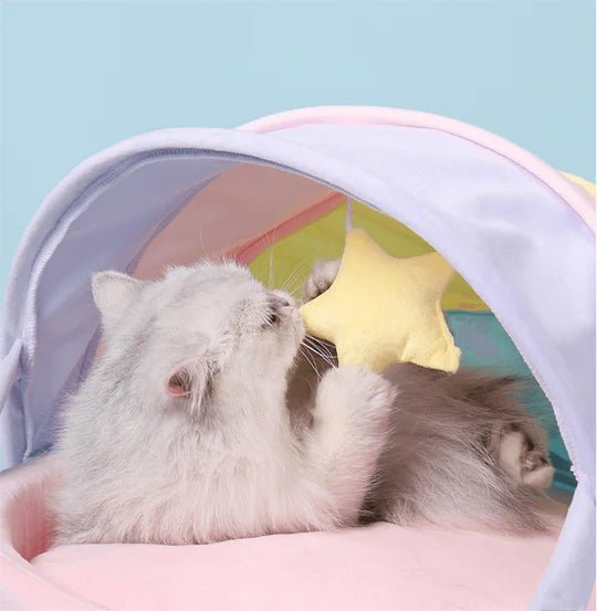 Rainbow Series Princess Cat Bed - Pet Pet Gifts