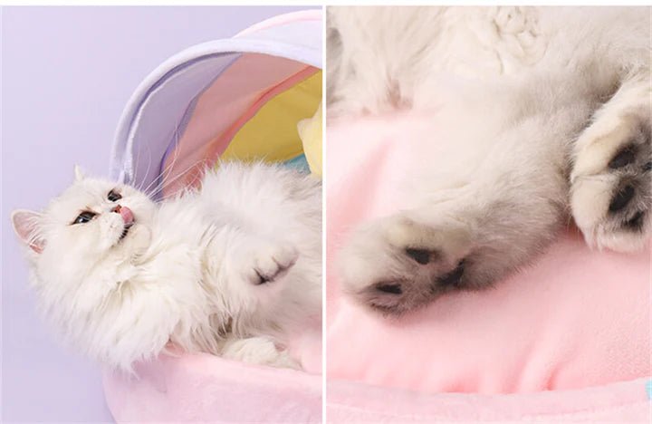 Rainbow Series Princess Cat Bed - Pet Pet Gifts