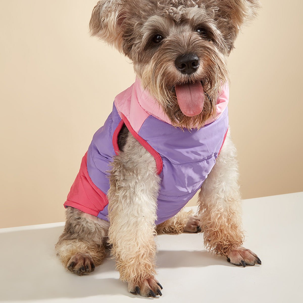 Warm and windproof winter pet coat jacket - Pet Pet Gifts