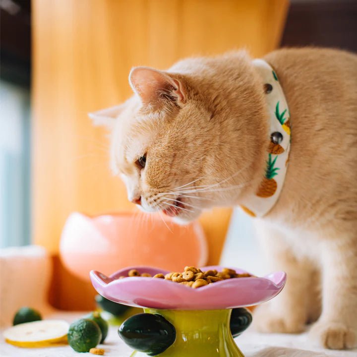 Flower Shape Cat Bowl - Pet Pet Gifts