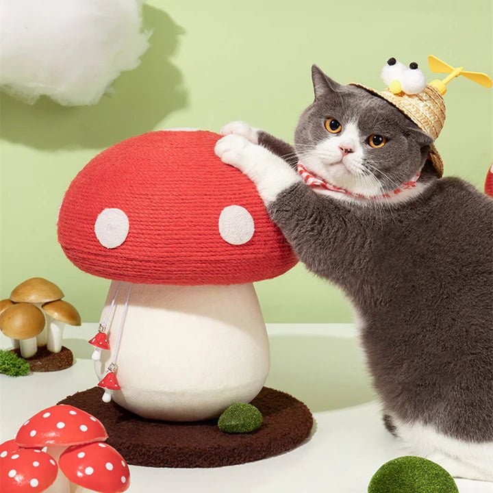 Mushroom Cat Scratcher - Pet Pet Gifts