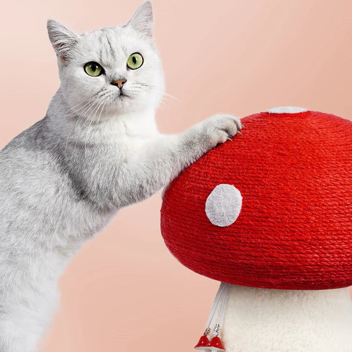 Mushroom Cat Scratcher - Pet Pet Gifts