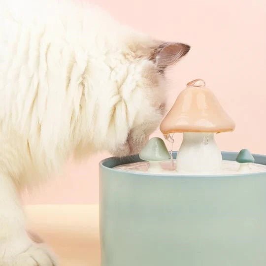 Mushroom Cat Water Fountain - Pet Pet Gifts